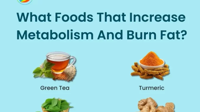 foods-that-boost-metabolism-and-burn-fat_1.webp