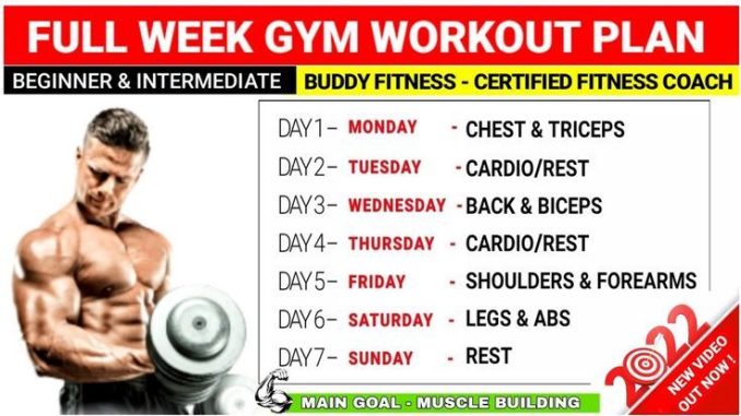 full-body-muscle-gain-routine-for-beginners_1.jpg